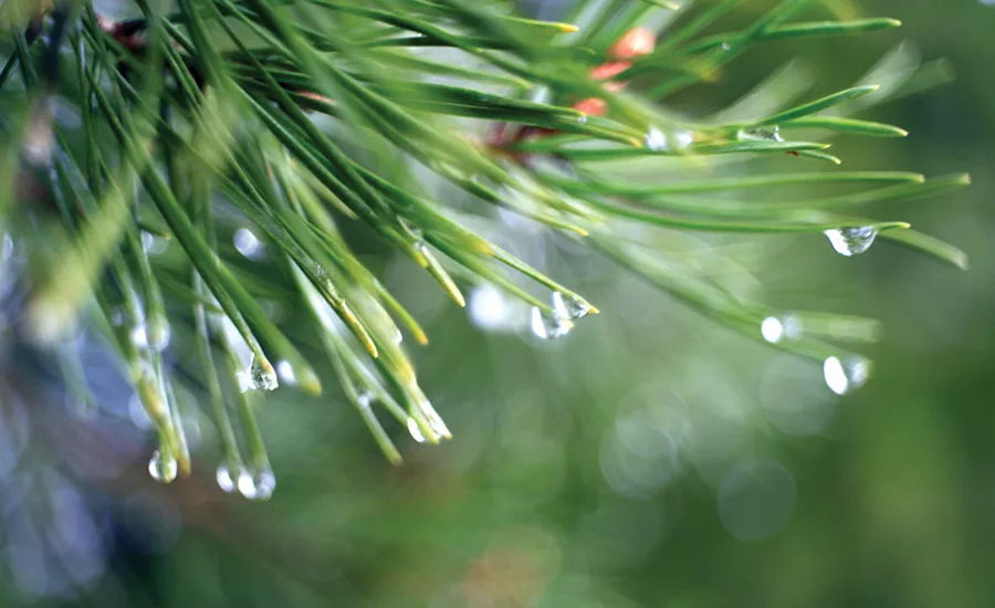 Top 5 Trends in Enterprise Labeling for 2016