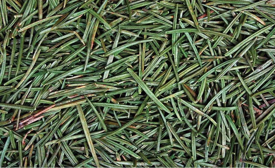 Top 5 Trends in Enterprise Labeling for 2016