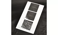 Tamper Labels Tamper Labels
