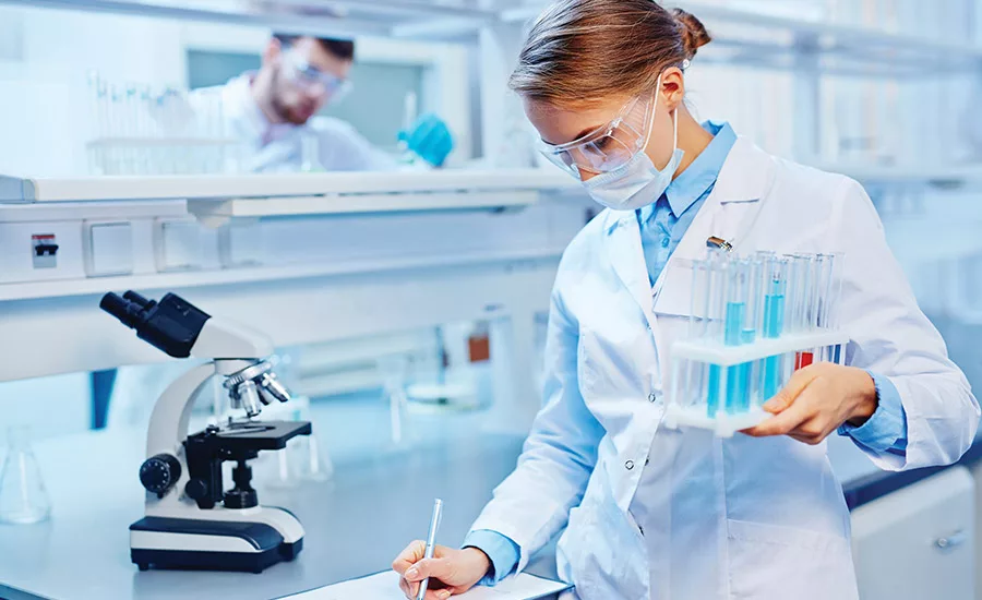 2016 Raw Materials Overview 2