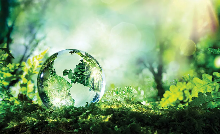 2016 Raw Materials Overview 3