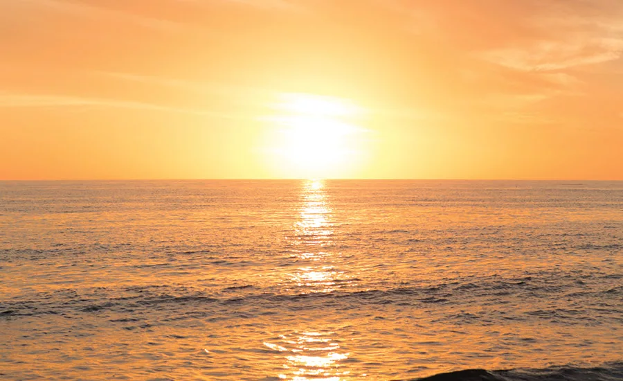 Tape Summit 2016 in the Sunshine State