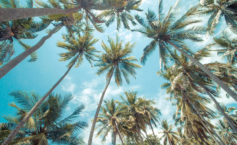 Tape Summit 2016 in the Sunshine State