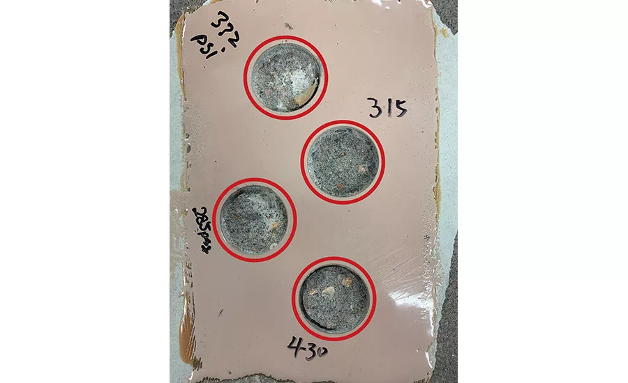 asi0320-AA-Kaneka-fig2