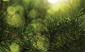 GettyImages-166186326