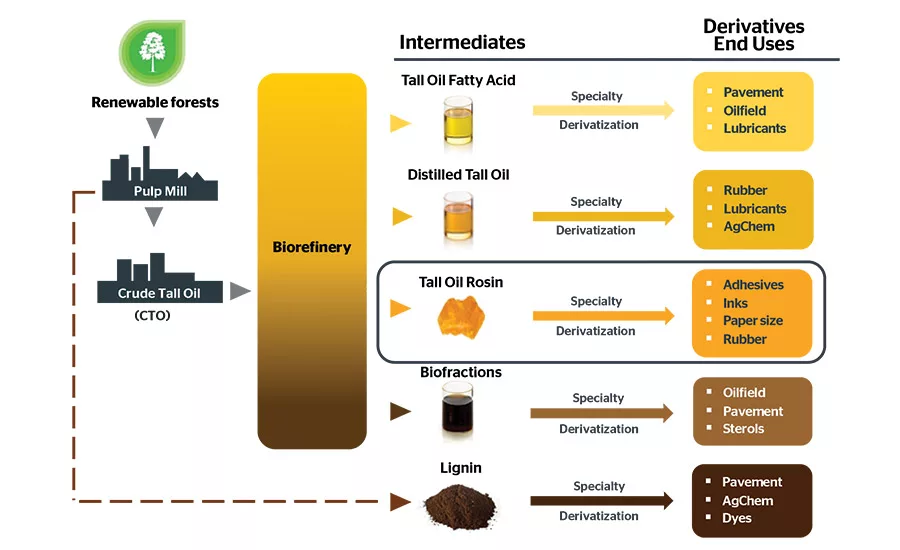 Pine-Chem-Value-Chain-Incl-DTO2-(1)