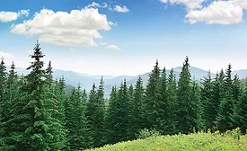 GettyImages-510081750