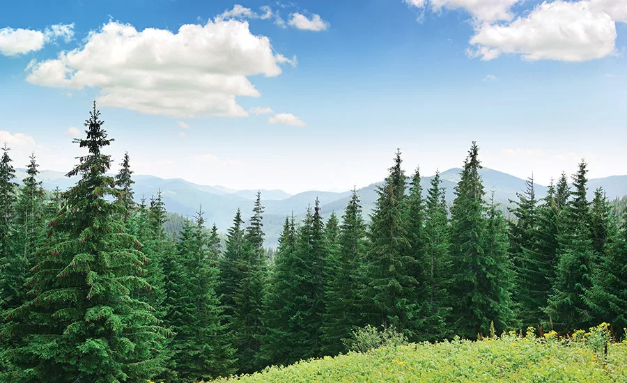 GettyImages-510081750