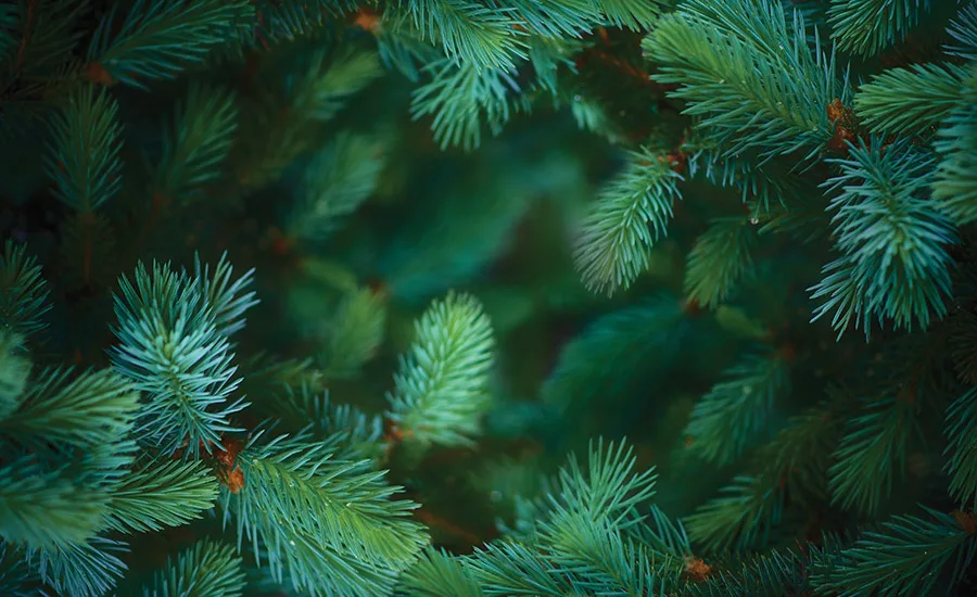 GettyImages-155430327