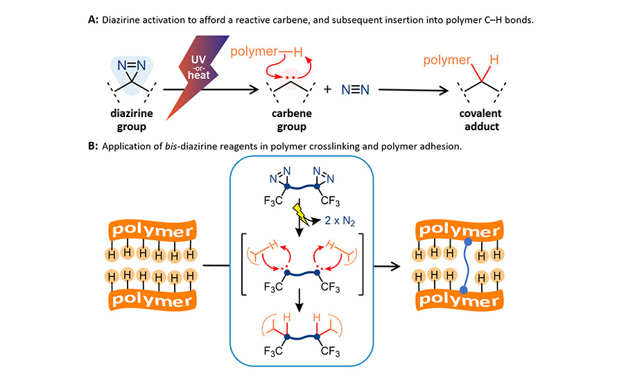 DiazirineBased Adhesives and Primers Facilitate Bonding to LowSurface