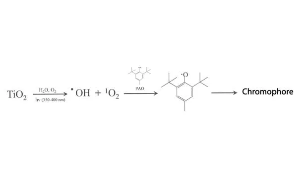 Discoloration of Elastomeric Joint Sealants