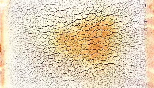 Discoloration of Elastomeric Joint Sealants