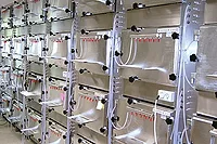 Eurofins VOC emissions Eurofins VOC emissions