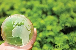 Tremco VOC regulation