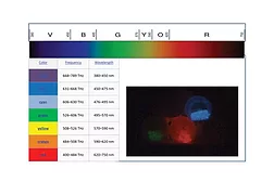 curing novel uv light