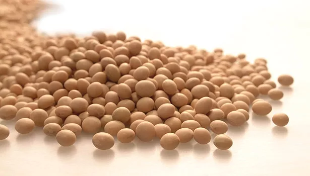 Water-based polyurethane