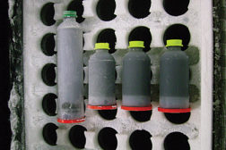frozen mixture plastic tubes semco