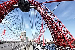 Environmental road markings