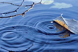 Floor Covering Sustainability