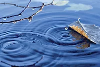 Floor Covering Sustainability Floor Covering Sustainability