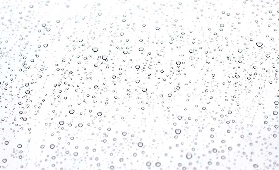 Polychloroprene Contact Adhesives 20030304 Adhesives & Sealants